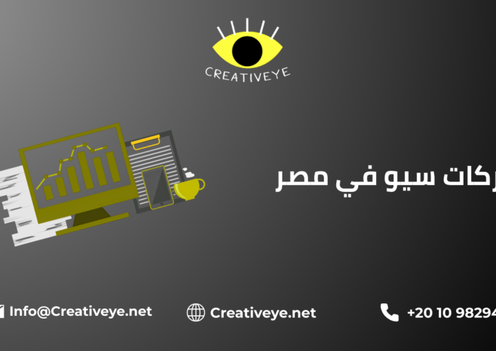 شركات سيو في مصر
